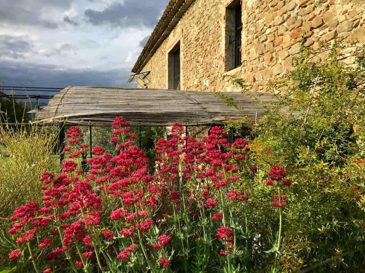 La Demoiselle Villa Puy-Saint-Martin Buitenkant foto